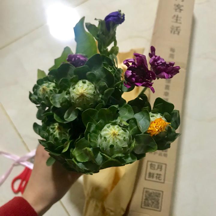 “beat365”北京有序推进低风险地区互联网上网服务营业(图1) “beat365”北京有序推进低风险地区互联网上网服务营业(图1)