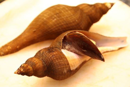 【beat365】汇率7关口众生相:外贸企业押注升值获利 海外资本搁置风险对冲(图2)