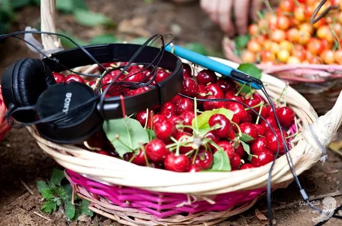 【beat365官网中文】工信部:上半年互联网企业收入5907亿元 同比增14.1%(图2) 【beat365官网中文】工信部:上半年互联网企业收入5907亿元 同比增14.1%(图2)